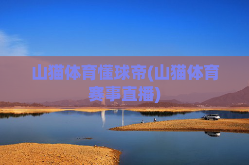 山猫体育懂球帝(山猫体育赛事直播)