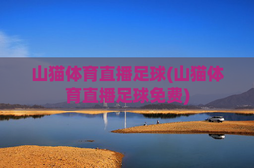 山猫体育直播足球(山猫体育直播足球免费)