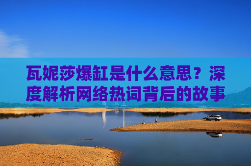 瓦妮莎爆缸是什么意思？深度解析网络热词背后的故事，瓦妮莎爆缸，网络热词背后的故事与深度解析