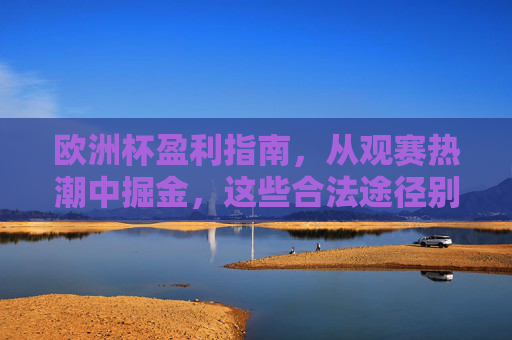 欧洲杯盈利指南,从观赛热潮中掘金,这些合法途径别错过,欧洲杯掘金指南,观赛热潮中的合法盈利途径