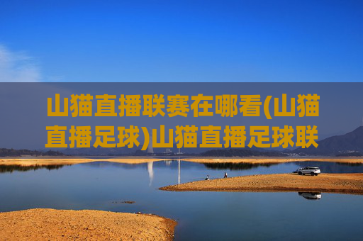 山猫直播联赛在哪看(山猫直播足球)山猫直播足球联赛观看指南