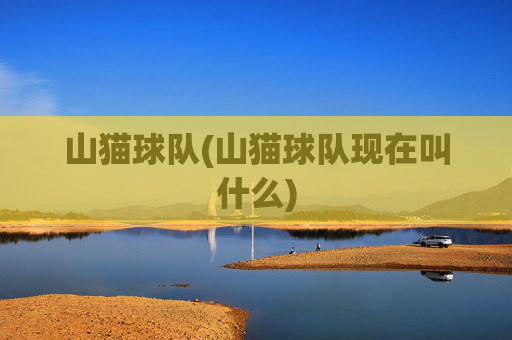山猫球队(山猫球队现在叫什么)