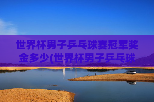 世界杯男子乒乓球赛冠军奖金多少(世界杯男子乒乓球赛冠军奖金多少钱)