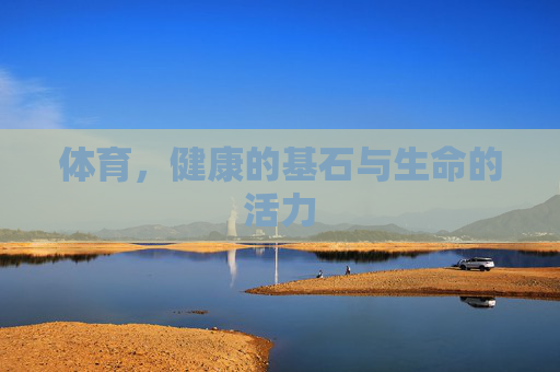 体育,健康的基石与生命的活力