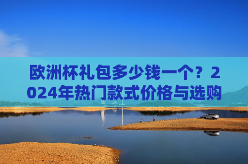 欧洲杯礼包多少钱一个?2024年热门款式价格与选购指南,2024欧洲杯礼包价格与选购指南,热门款式多少钱一个?