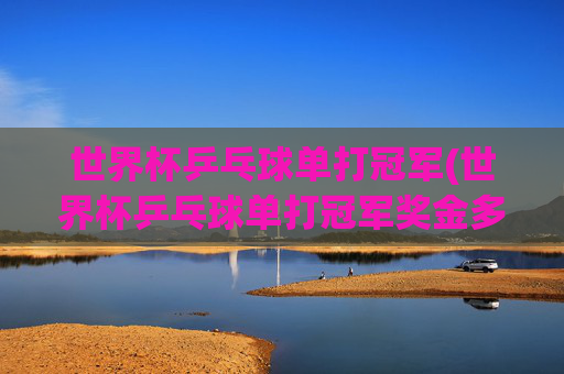 世界杯乒乓球单打冠军(世界杯乒乓球单打冠军奖金多少)