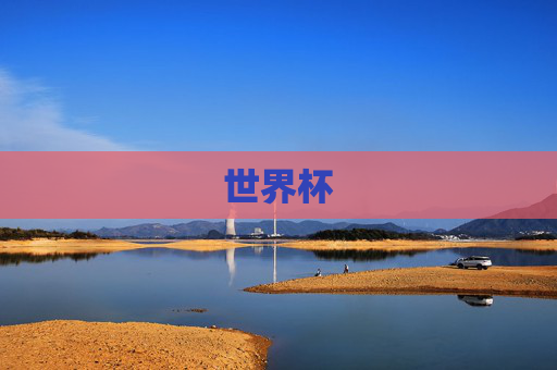 世界杯