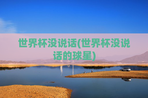 世界杯没说话(世界杯没说话的球星)