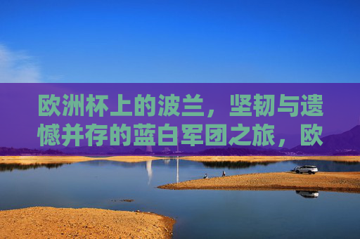 欧洲杯上的波兰，坚韧与遗憾并存的蓝白军团之旅，欧洲杯蓝白军团，坚韧与遗憾的征程