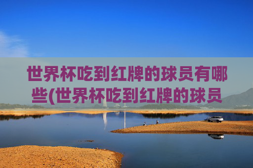 世界杯吃到红牌的球员有哪些(世界杯吃到红牌的球员有哪些人)