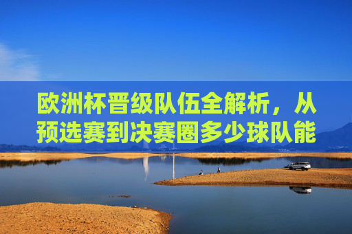欧洲杯晋级队伍全解析,从预选赛到决赛圈多少球队能圆梦?