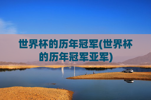 世界杯的历年冠军(世界杯的历年冠军亚军)