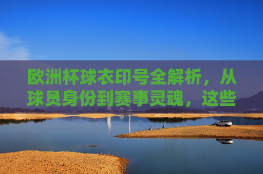 欧洲杯球衣印号全解析,从球员身份到赛事灵魂,这些标识缺一不可,欧洲杯球衣印号,从球员身份到赛事灵魂的不可或缺标识