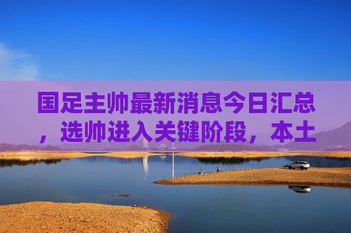 国足主帅最新消息今日汇总，选帅进入关键阶段，本土外教候选名单动态曝光，国足主帅选帅进入关键阶段，本土外教候选名单动态曝光