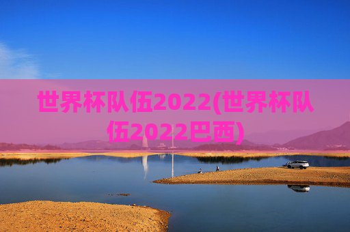 世界杯队伍2022(世界杯队伍2022巴西)