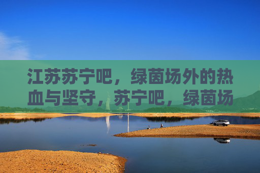 江苏苏宁吧，绿茵场外的热血与坚守，苏宁吧，绿茵场外的热血坚守