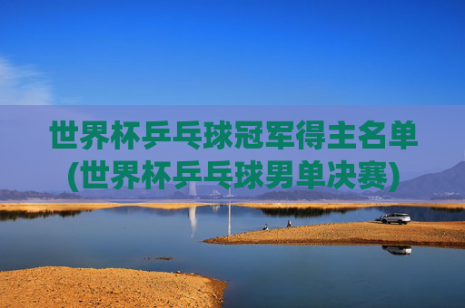 世界杯乒乓球冠军得主名单(世界杯乒乓球男单决赛)