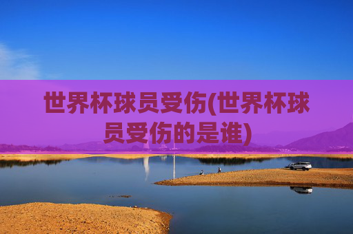 世界杯球员受伤(世界杯球员受伤的是谁)