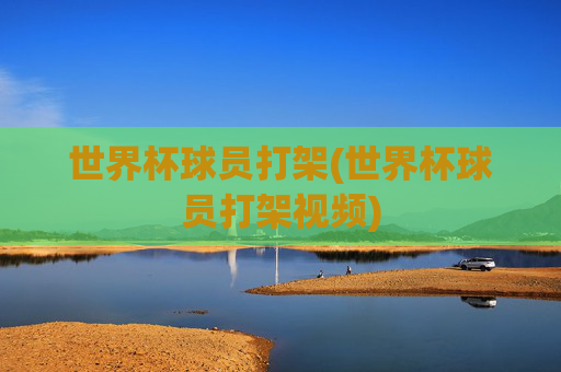 世界杯球员打架(世界杯球员打架视频)