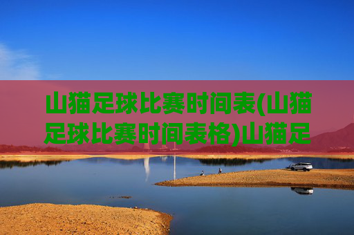 山猫足球比赛时间表(山猫足球比赛时间表格)山猫足球比赛时间表