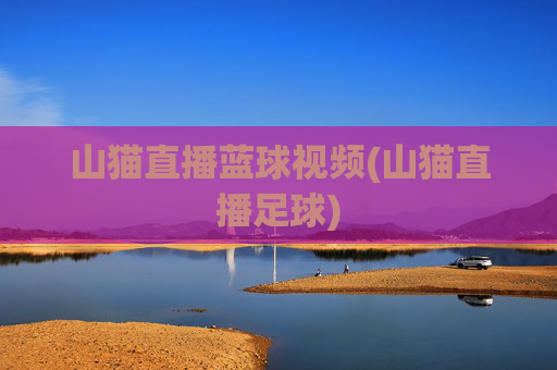 山猫直播蓝球视频(山猫直播足球)