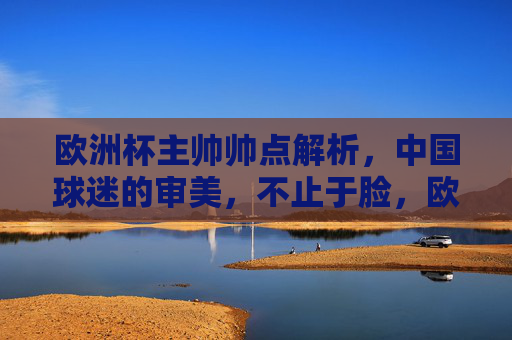 欧洲杯主帅帅点解析,中国球迷的审美,不止于脸,欧洲杯主帅帅点解析,中国球迷审美,不止于脸