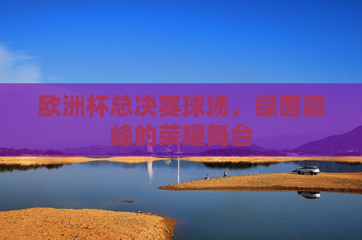 欧洲杯总决赛球场,绿茵巅峰的荣耀舞台