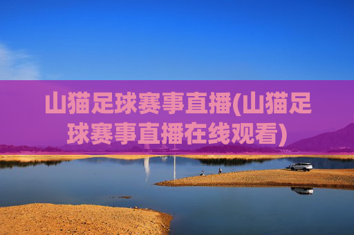 山猫足球赛事直播(山猫足球赛事直播在线观看)