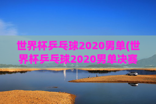 世界杯乒乓球2020男单(世界杯乒乓球2020男单决赛)