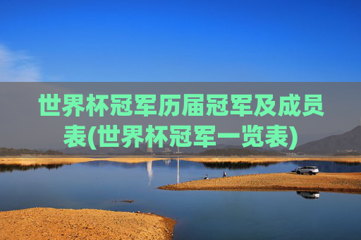 世界杯冠军历届冠军及成员表(世界杯冠军一览表)