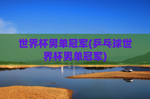 世界杯男单冠军(乒乓球世界杯男单冠军)