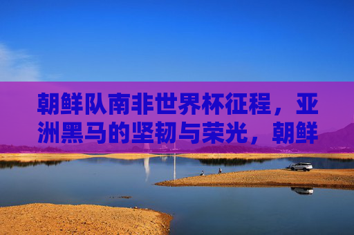 朝鲜队南非世界杯征程,亚洲黑马的坚韧与荣光,朝鲜南非世界杯征程,亚洲黑马的坚韧与荣光