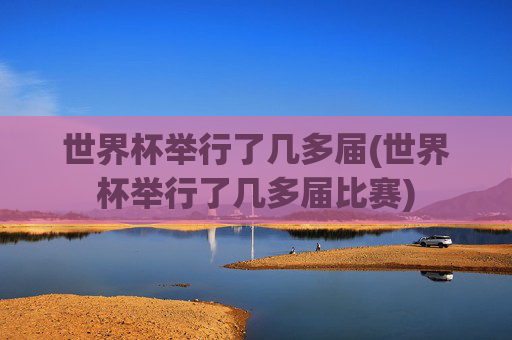 世界杯举行了几多届(世界杯举行了几多届比赛)
