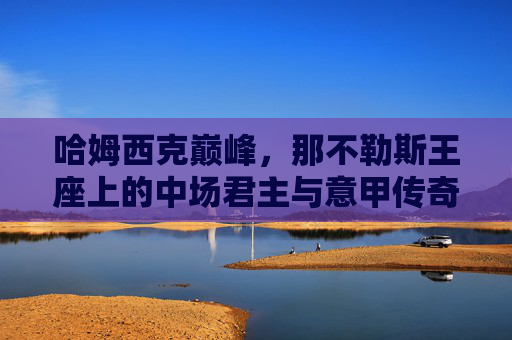 哈姆西克巅峰,那不勒斯王座上的中场君主与意甲传奇的黄金时代,哈姆西克,那不勒斯王座的中场君主与意甲黄金时代
