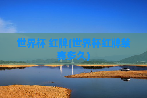 世界杯 红牌(世界杯红牌禁赛多久)