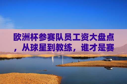 欧洲杯参赛队员工资大盘点,从球星到教练,谁才是赛场上的高薪王者?欧洲杯参赛队员工资盘点,谁是赛场高薪王者?