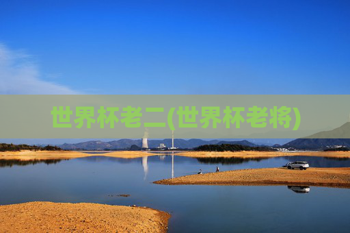 世界杯老二(世界杯老将)