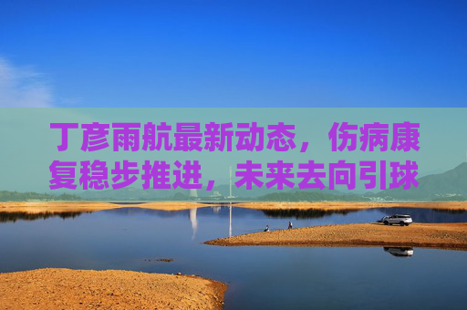 丁彦雨航最新动态，伤病康复稳步推进，未来去向引球迷热议，丁彦雨航伤病康复稳步推进 未来去向引球迷热议