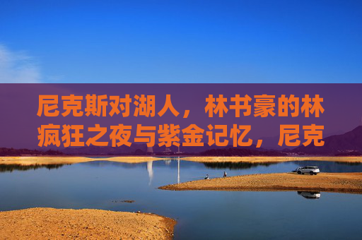 尼克斯对湖人,林书豪的林疯狂之夜与紫金记忆,尼克斯VS湖人,林书豪林疯狂之夜与紫金记忆