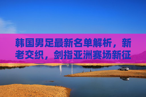 韩国男足最新名单解析，新老交织，剑指亚洲赛场新征程，韩国男足新老交织，剑指亚洲赛场新征程