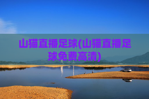 山猫直播足球(山猫直播足球免费高清)
