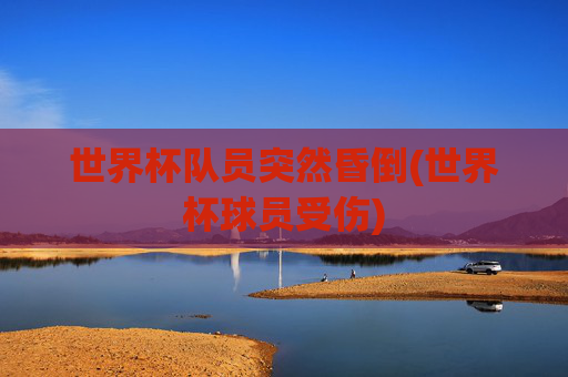 世界杯队员突然昏倒(世界杯球员受伤)