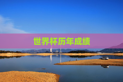 世界杯历年成绩