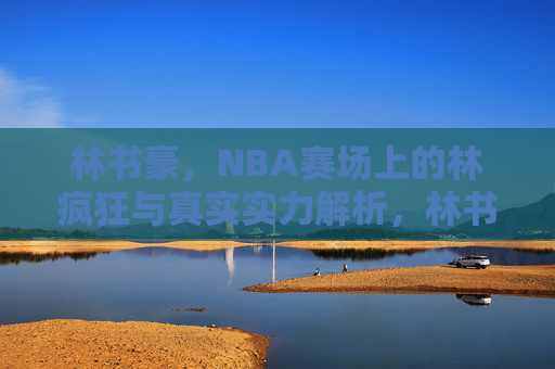 林书豪,NBA赛场上的林疯狂与真实实力解析,林书豪,林疯狂与真实实力解析