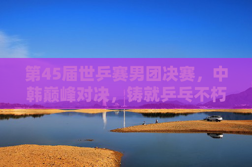 第45届世乒赛男团决赛,中韩巅峰对决,铸就乒乓不朽传奇,第45届世乒赛男团决赛,中韩巅峰对决铸就乒乓不朽传奇