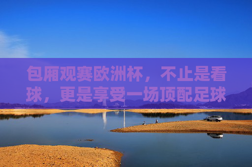 包厢观赛欧洲杯,不止是看球,更是享受一场顶配足球盛宴,包厢观赛欧洲杯,顶配足球盛宴,不止看球