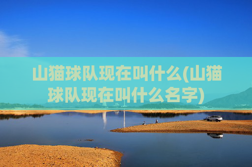 山猫球队现在叫什么(山猫球队现在叫什么名字)