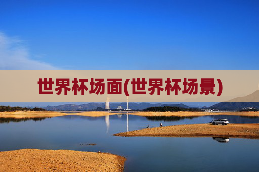 世界杯场面(世界杯场景)