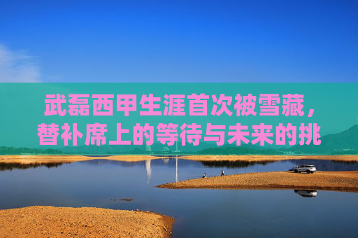 武磊西甲生涯首次被雪藏,替补席上的等待与未来的挑战,武磊西甲生涯首次遭雪藏,替补席等待与未来挑战