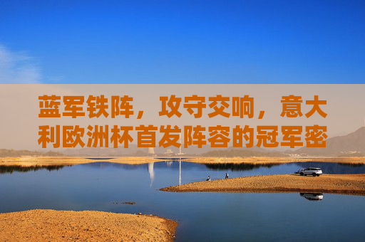 蓝军铁阵,攻守交响,意大利欧洲杯首发阵容的冠军密码